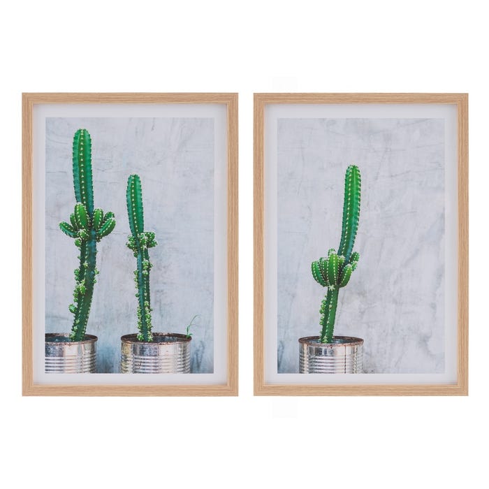 Cuadro Impresión Cactus 2/M Decoración 49 X 2 X 69 Cm