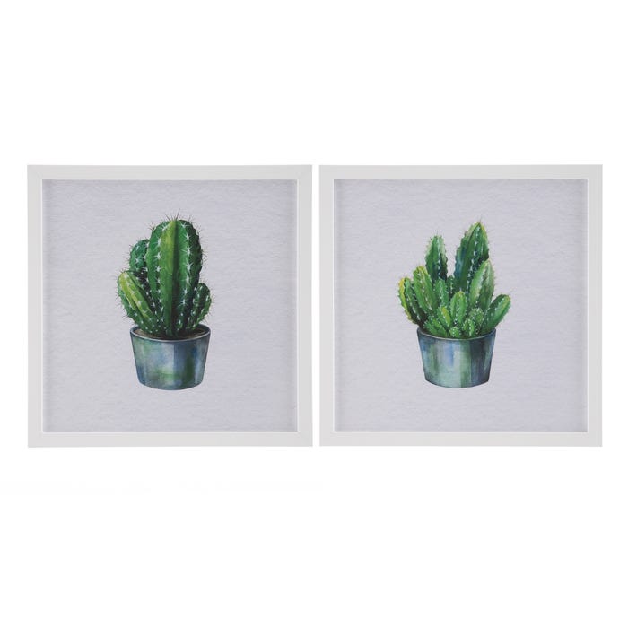 Cuadro Impresión Cactus 2/M Decoración 45 X 45 Cm