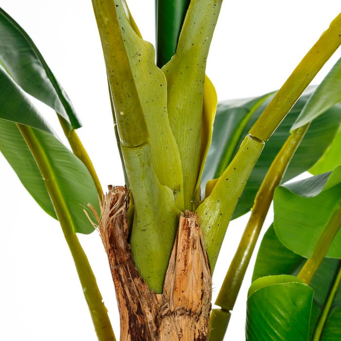 Green Banana Plant Decoration 103 X 95 X 200 Cm