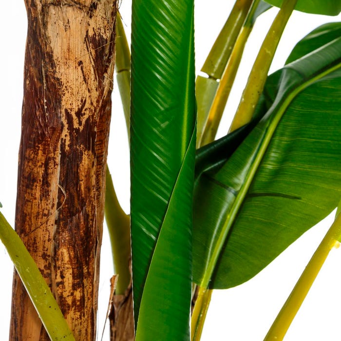 Planta Platanero Verde Decoración 103 X 95 X 200 Cm