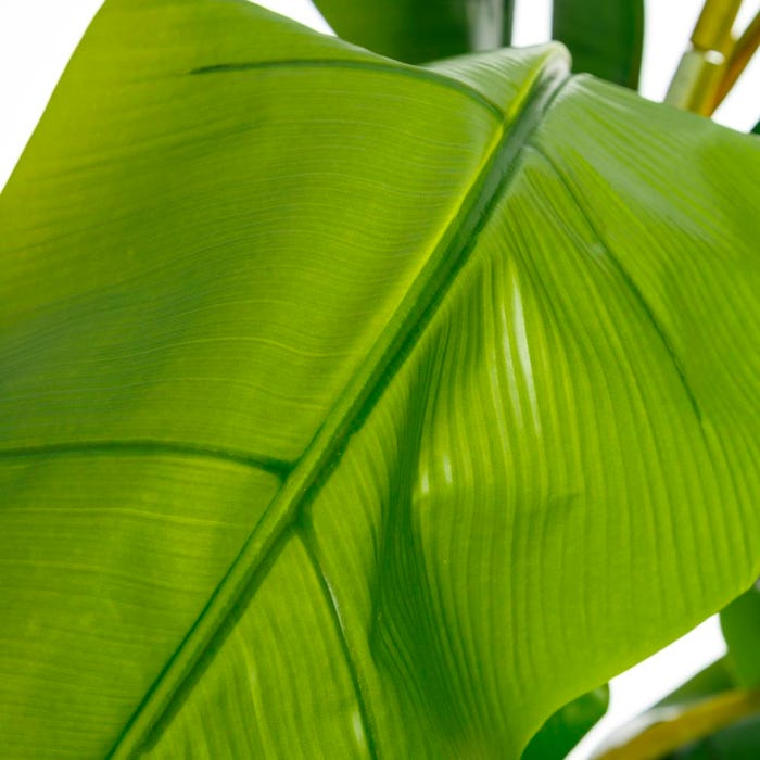 Decoração de Bananeira Verde 103 X 95 X 200 Cm