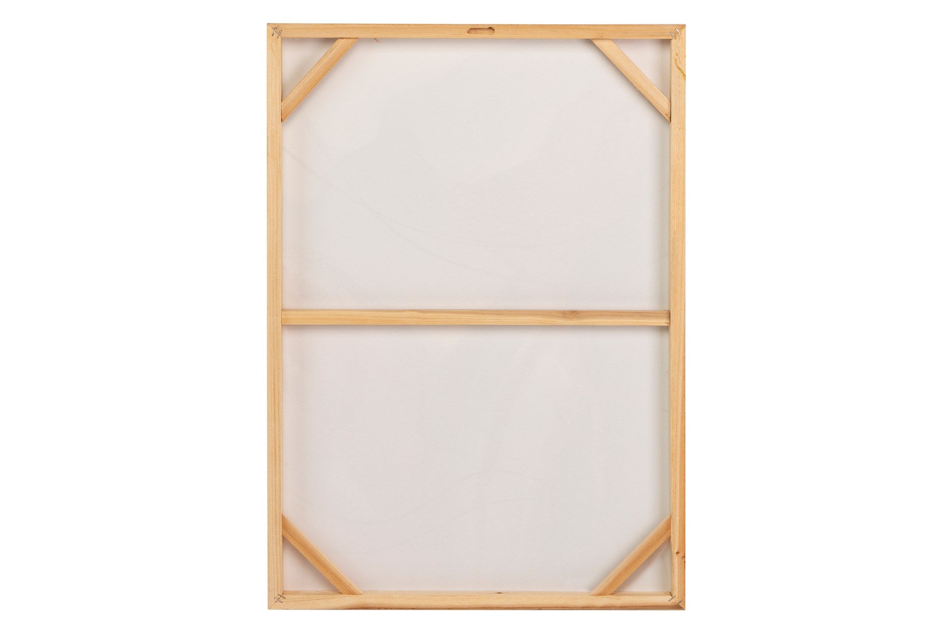 SET OF 2 CANVASES LEAVES 40% HAND PAINTED 50x3x70 CM