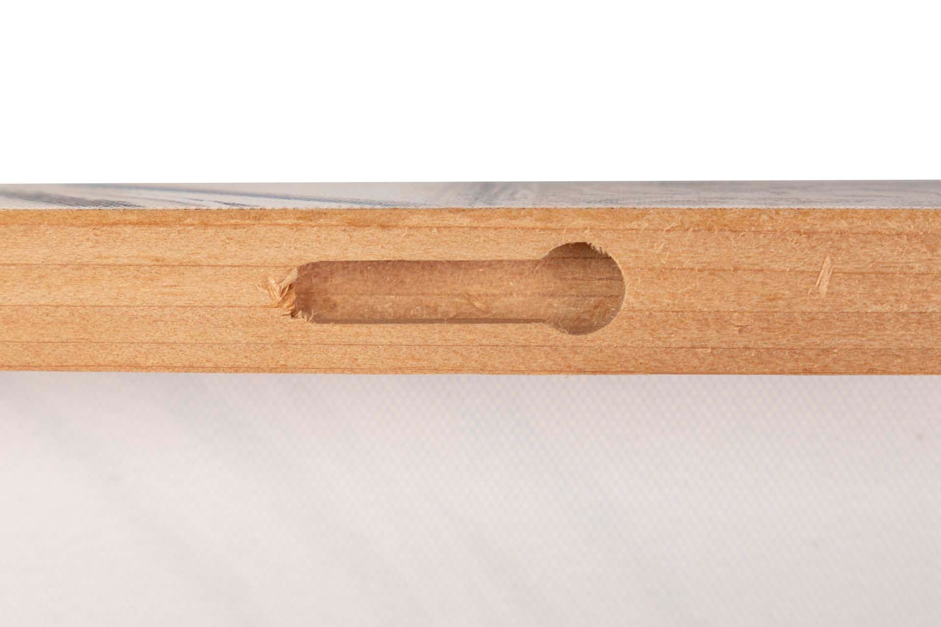 SET OF 2 CANVASES WITH FLOWERS, 40% HAND PAINTED, 60x3x60 CM