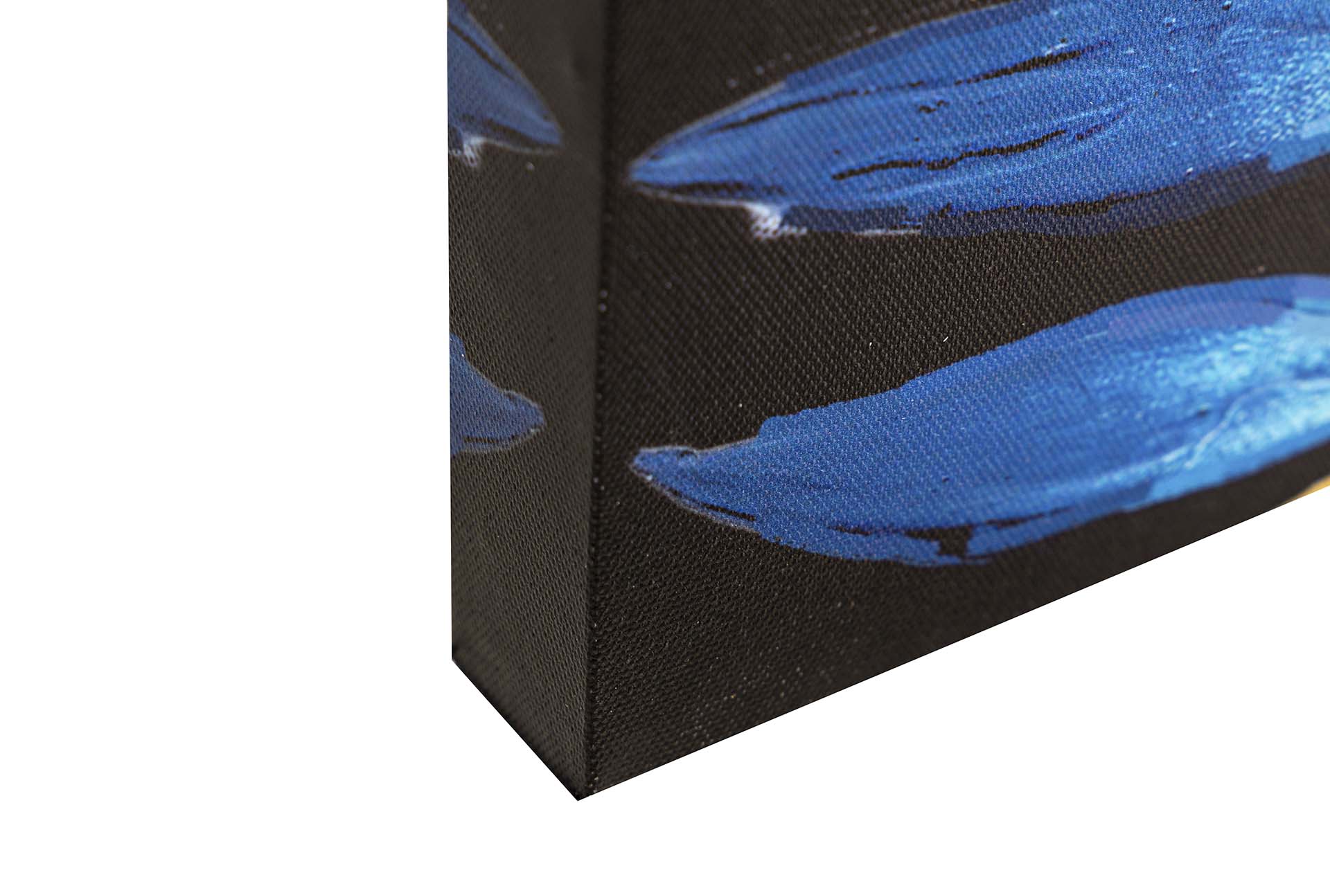 SET OF 2 CANVASES WITH FLOWERS, 40% HAND PAINTED, 60x3x60 CM