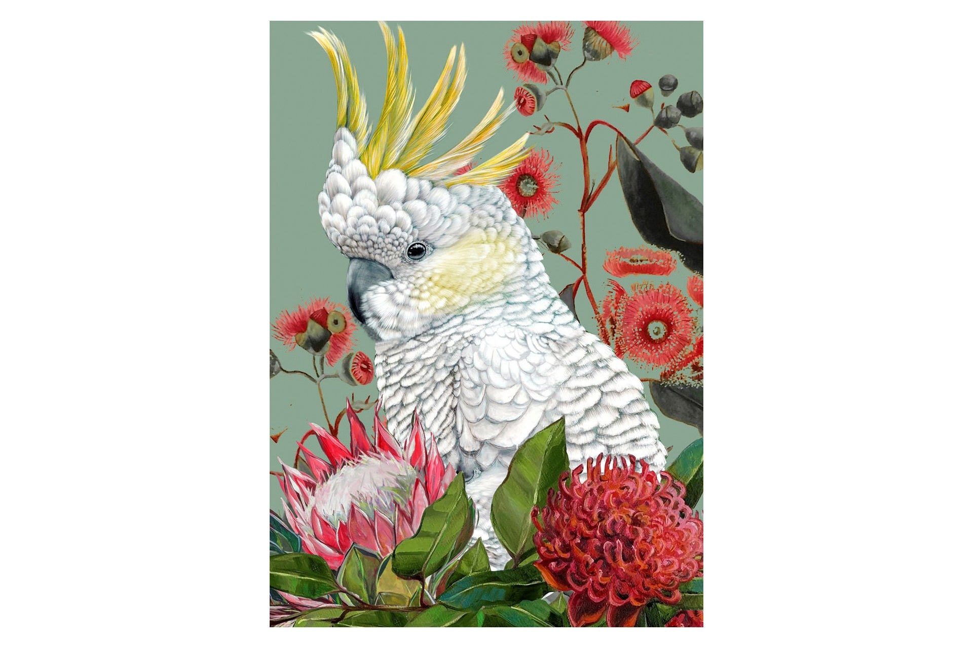 SET 2 LIENZOS CACATUA 40% PINTADO MANO 50x3x70 CM