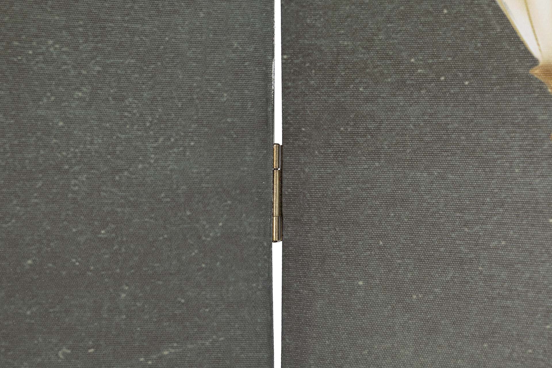 BIOMBO LIENZO PAJAROS 120x3x180 CM
