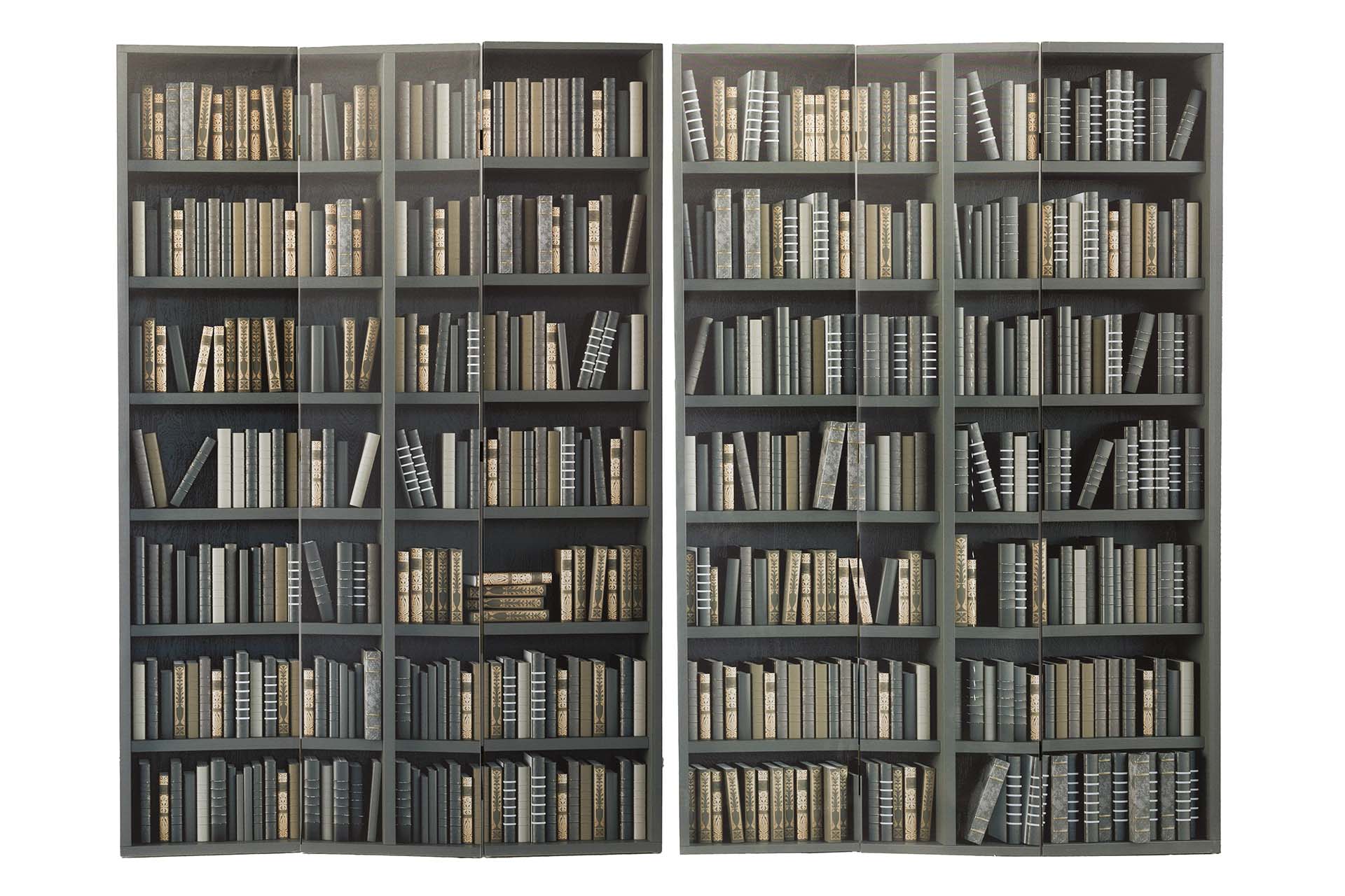 BIOMBO LIENZO BIBLIOTECA 120x3x180 CM