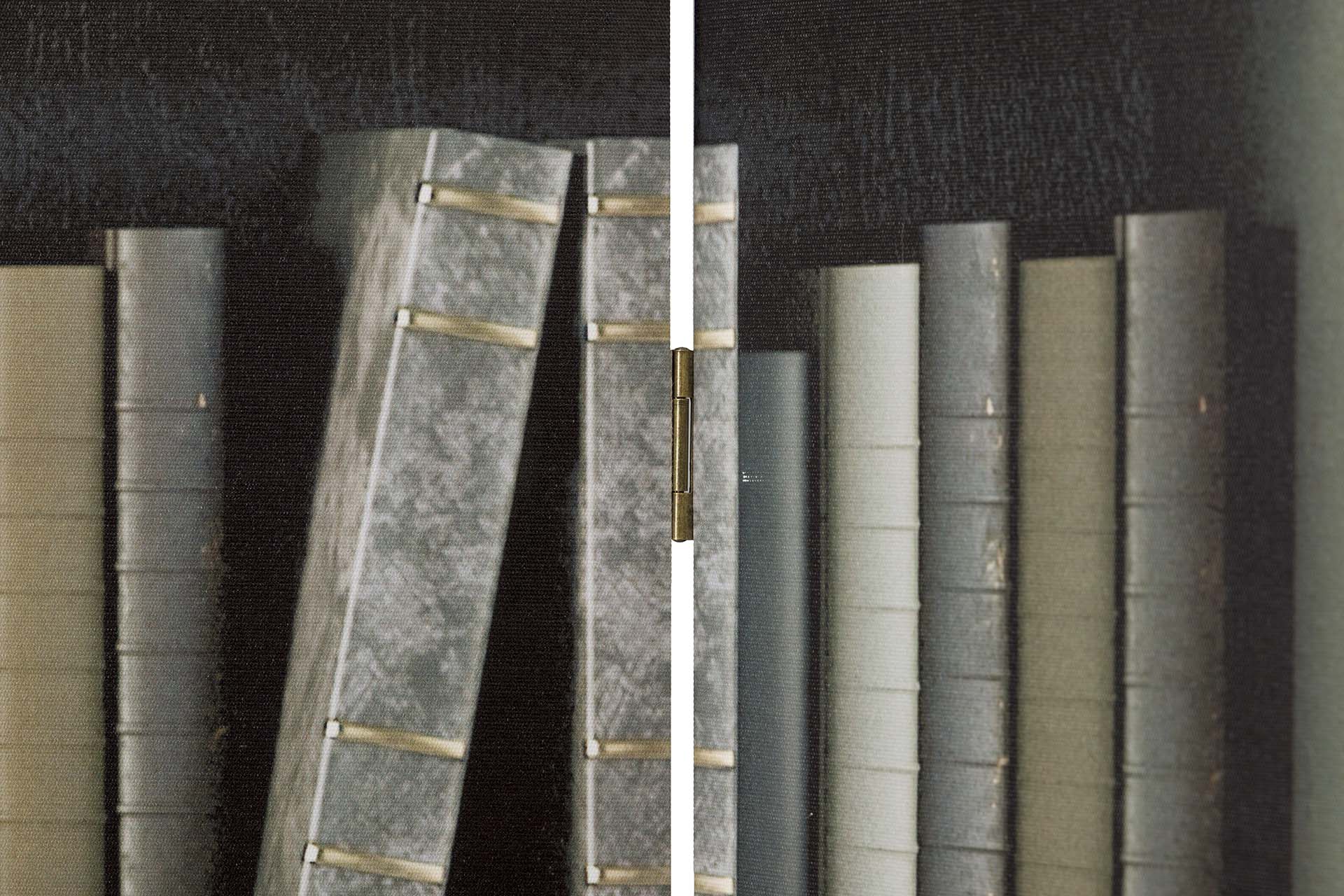 BIOMBO LIENZO BIBLIOTECA 120x3x180 CM