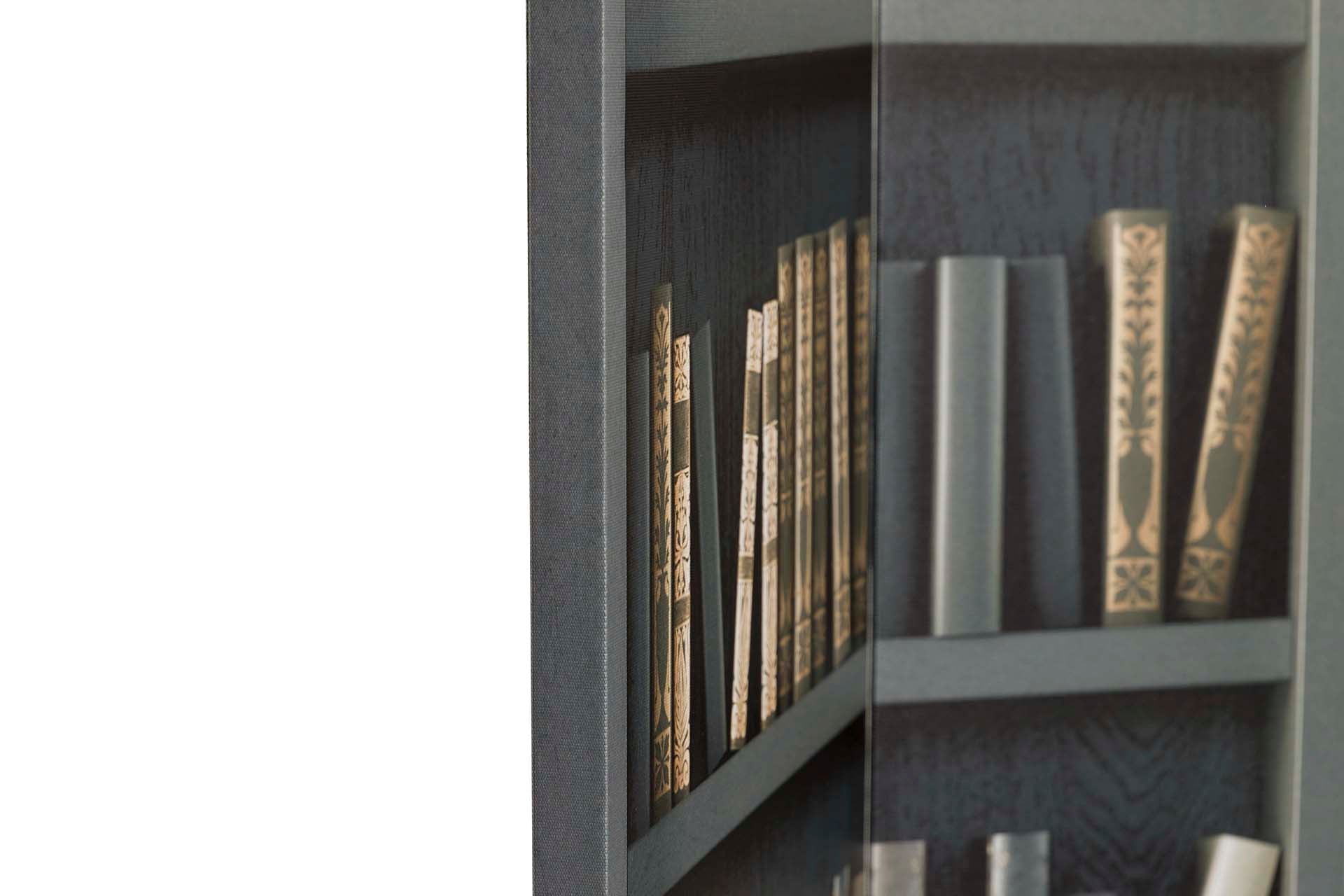 BIOMBO LIENZO BIBLIOTECA 120x3x180 CM