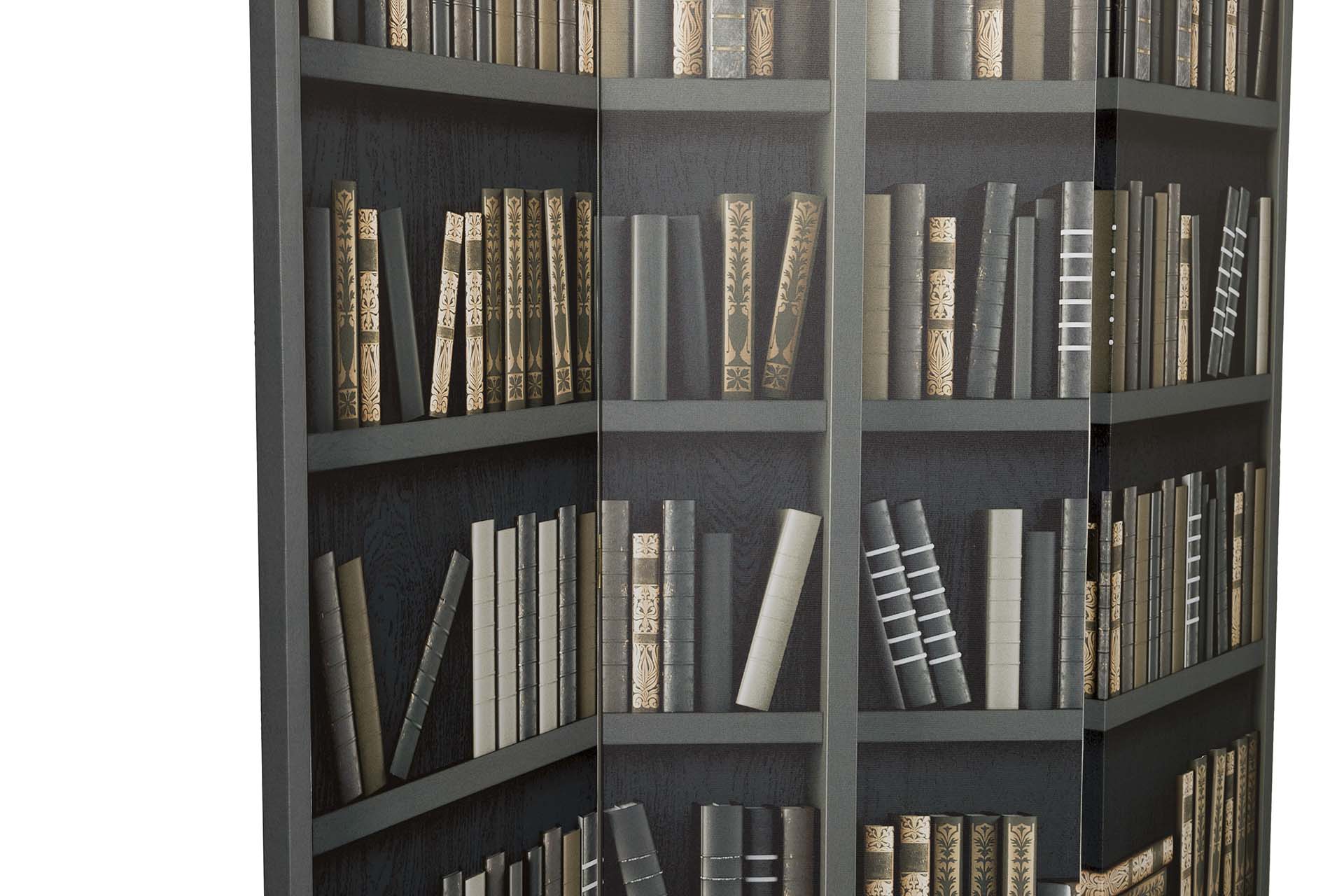 BIOMBO LIENZO BIBLIOTECA 120x3x180 CM