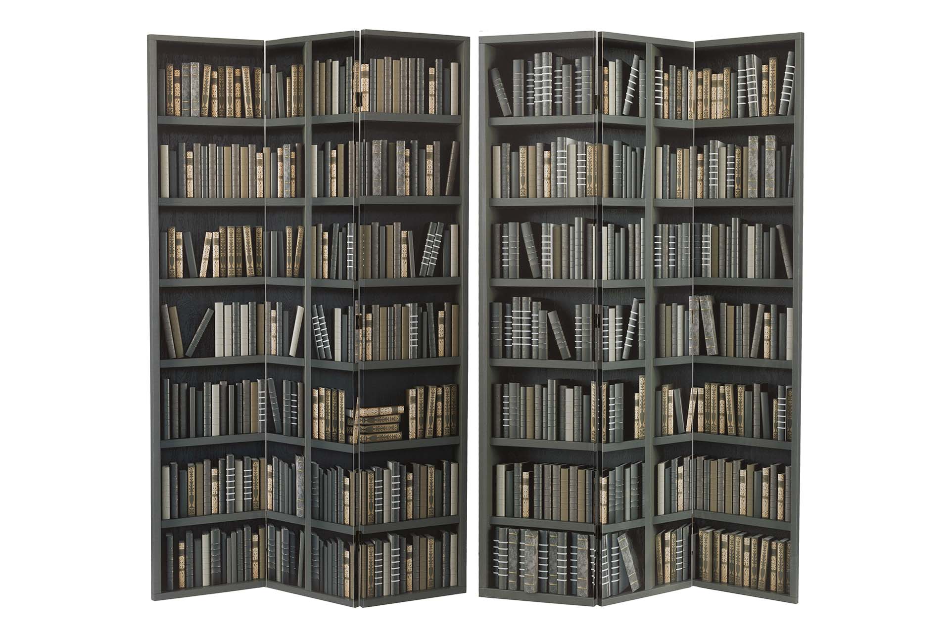 BIOMBO LIENZO BIBLIOTECA 120x3x180 CM