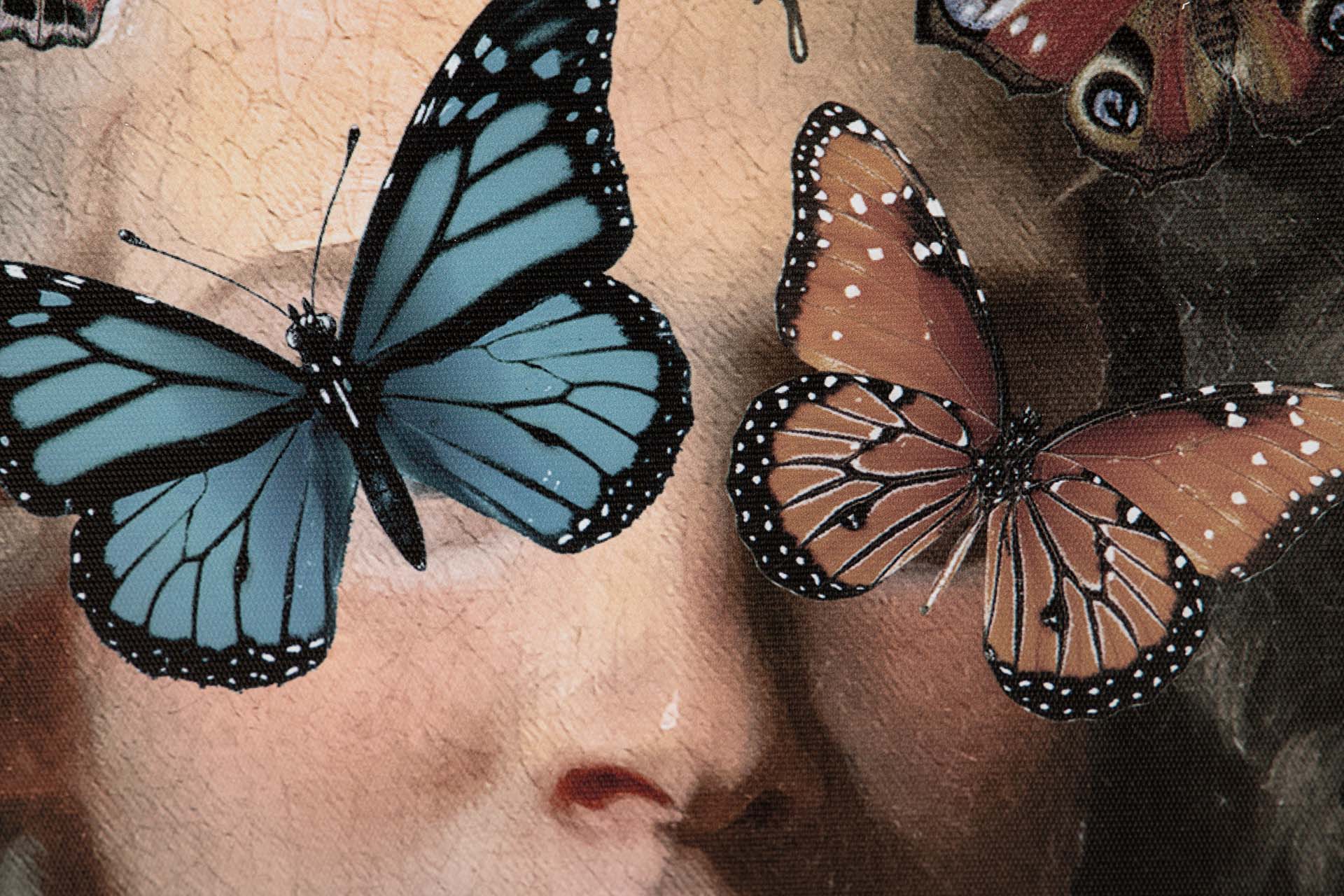 CUADRO MARIPOSAS CON MARCO 2 SURTIDOS 60x3x90CM - Min.2 uds