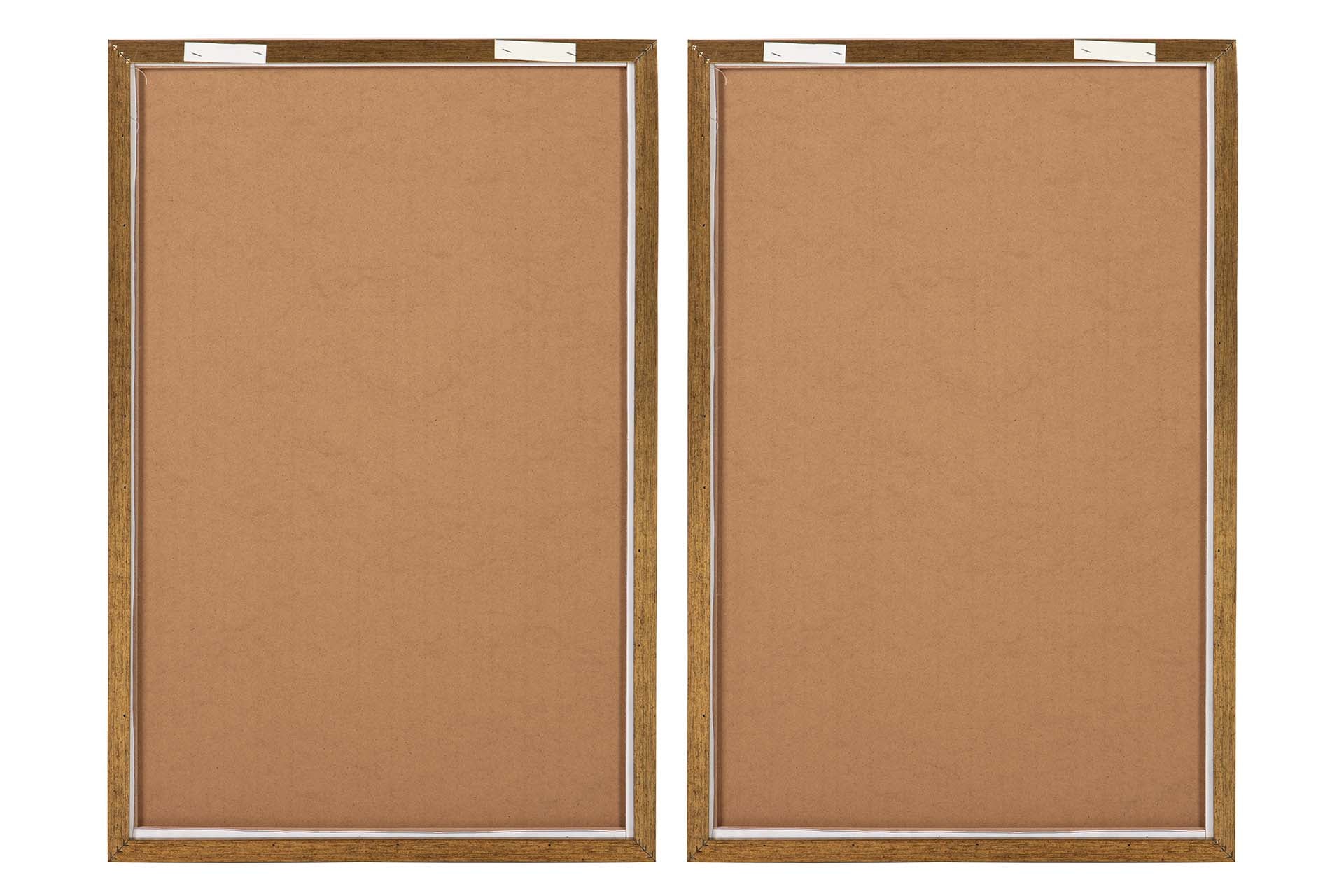 CUADRO HOJAS CON MARCO 2 SURTIDOS 60x3x90 CM - Min.2 uds