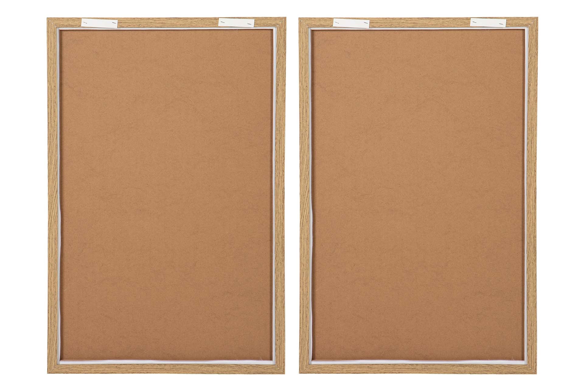 CUADRO HOJAS CON MARCO 2 SURTIDOS 60x3x90 CM - Min.2 uds