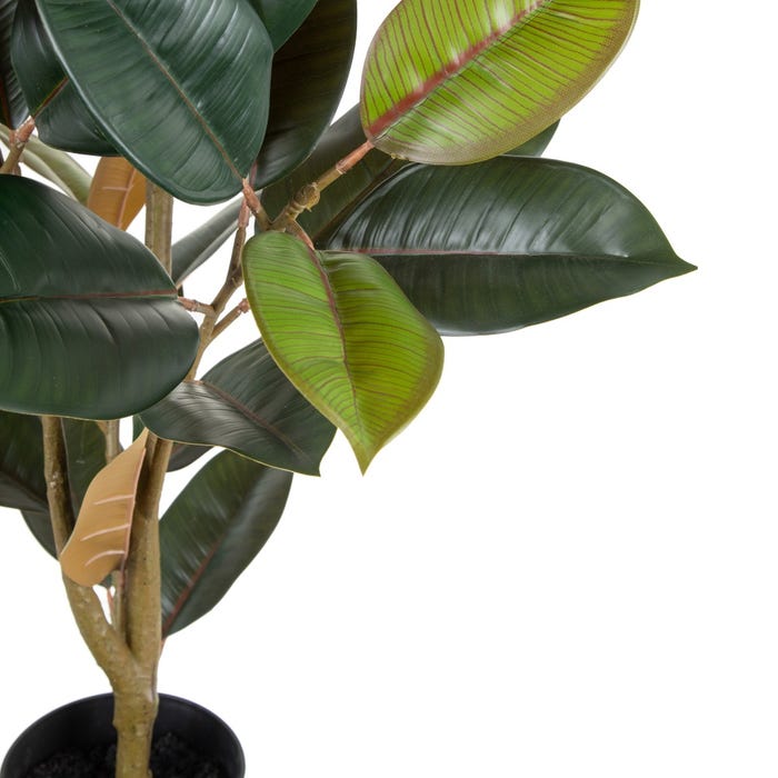 Planta Ficus Verde Oscuro 49 X 45 X 125 Cm