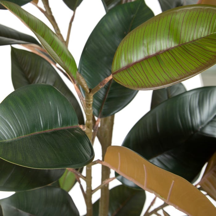 Planta Ficus Verde Escuro 49 X 45 X 125 Cm