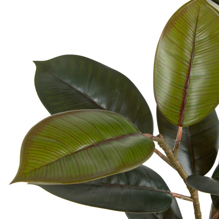 Planta Ficus Verde Escuro 49 X 45 X 125 Cm