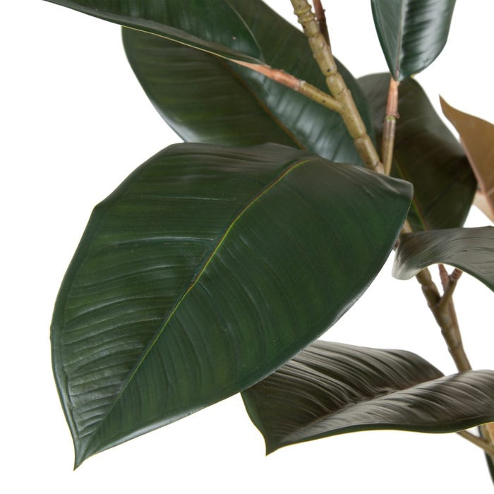 Planta Ficus Verde Escuro 49 X 45 X 125 Cm