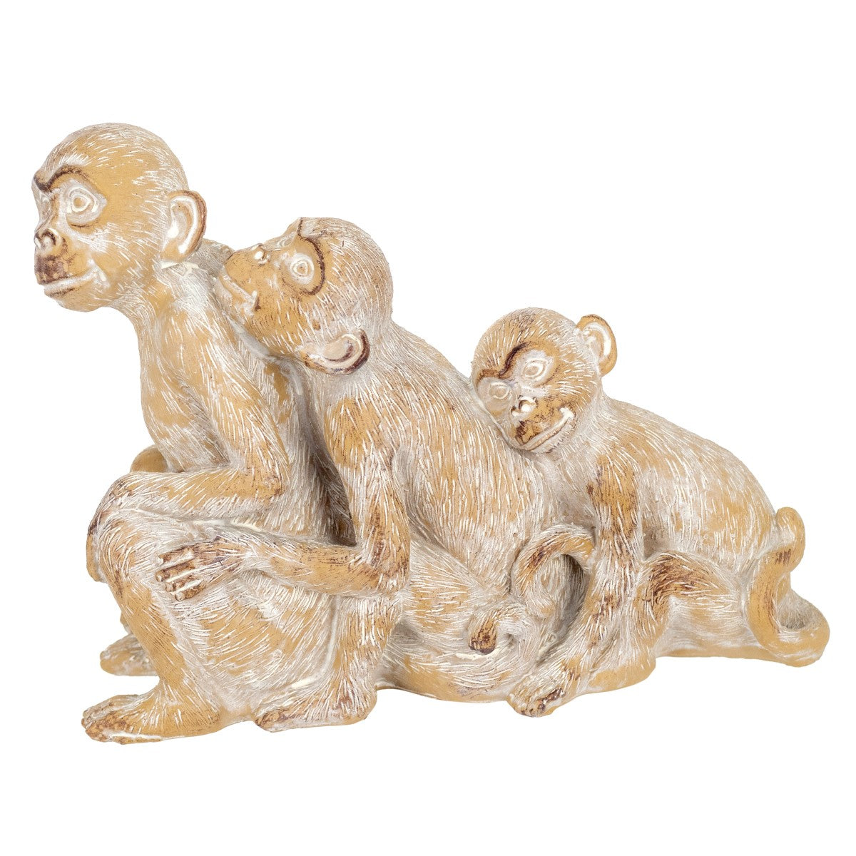 Figura 3 Macacos