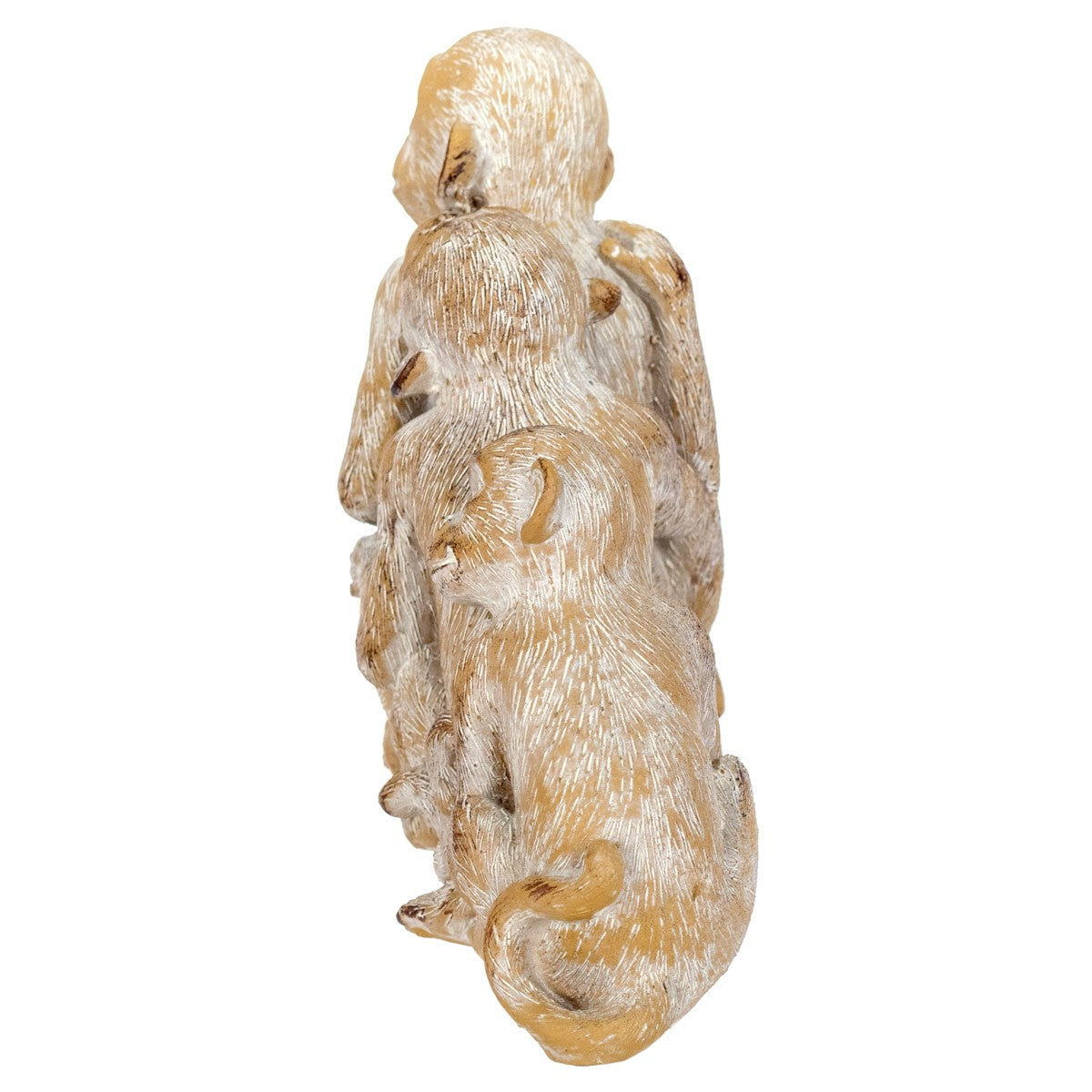 Figura 3 Macacos