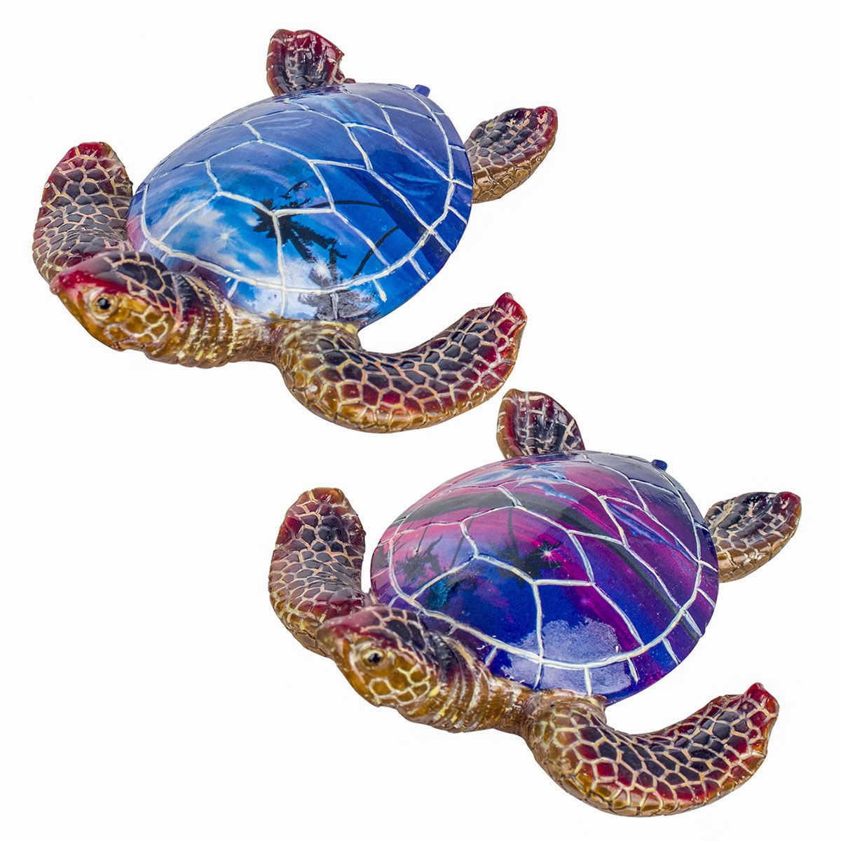 Tortuga 2 Dif.
