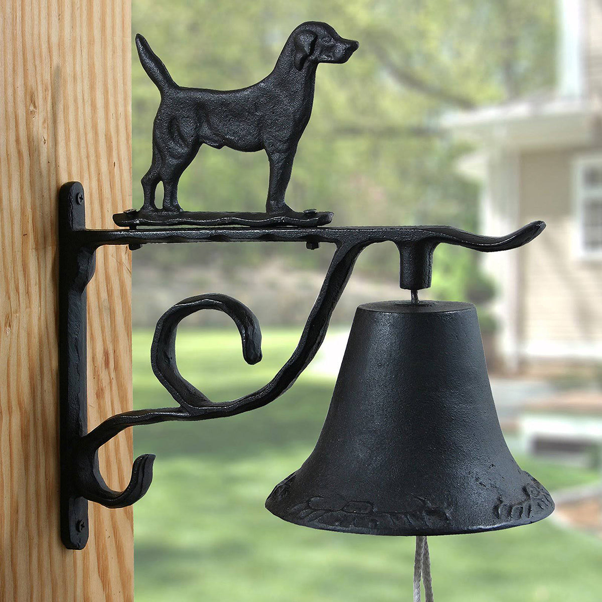 Campana Perro