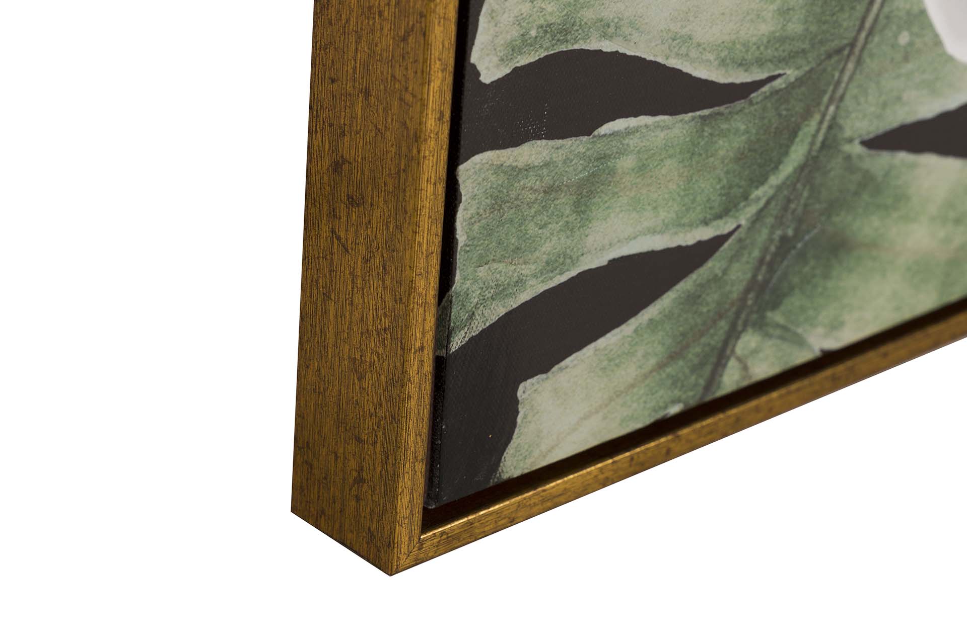 SET 2 CUADROS MACACOS CON MARCO DORADO 60x4x80 CM