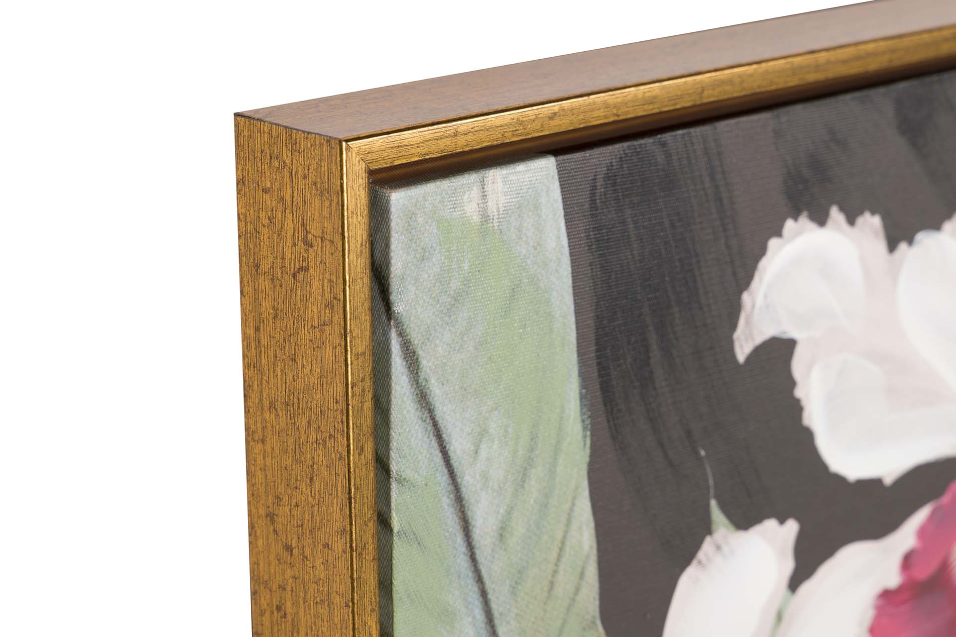 MACACO PAINTING WITH GOLD FRAME 80x4x120 CM