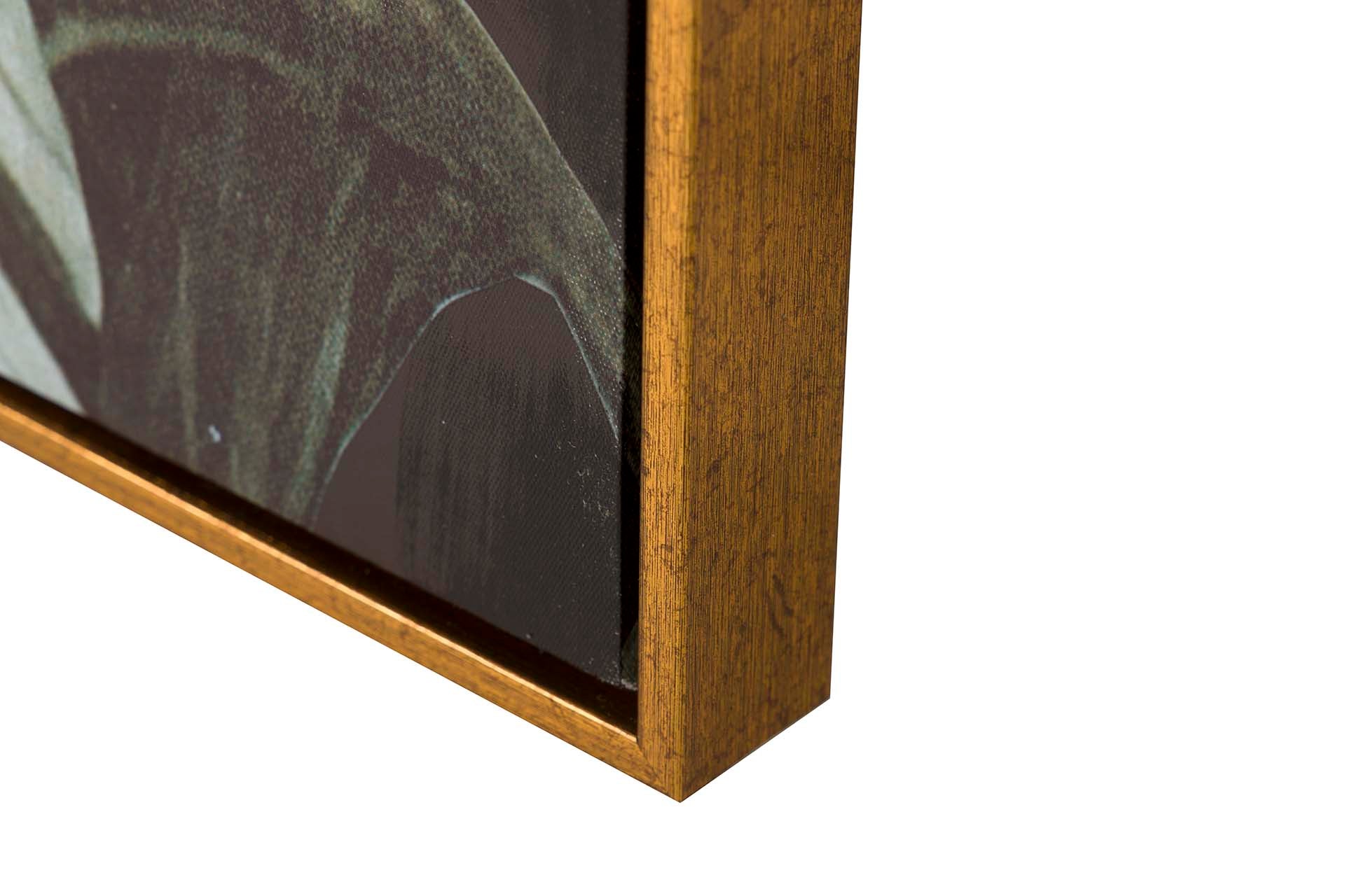 MACACO PAINTING WITH GOLD FRAME 80x4x120 CM