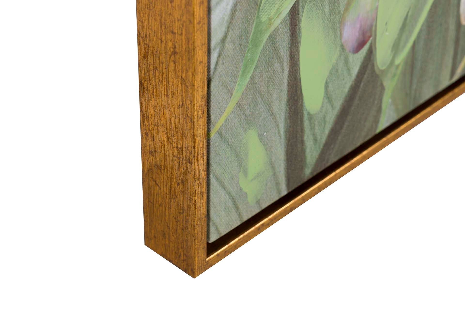 MACACO PAINTING WITH GOLD FRAME 80x4x120 CM