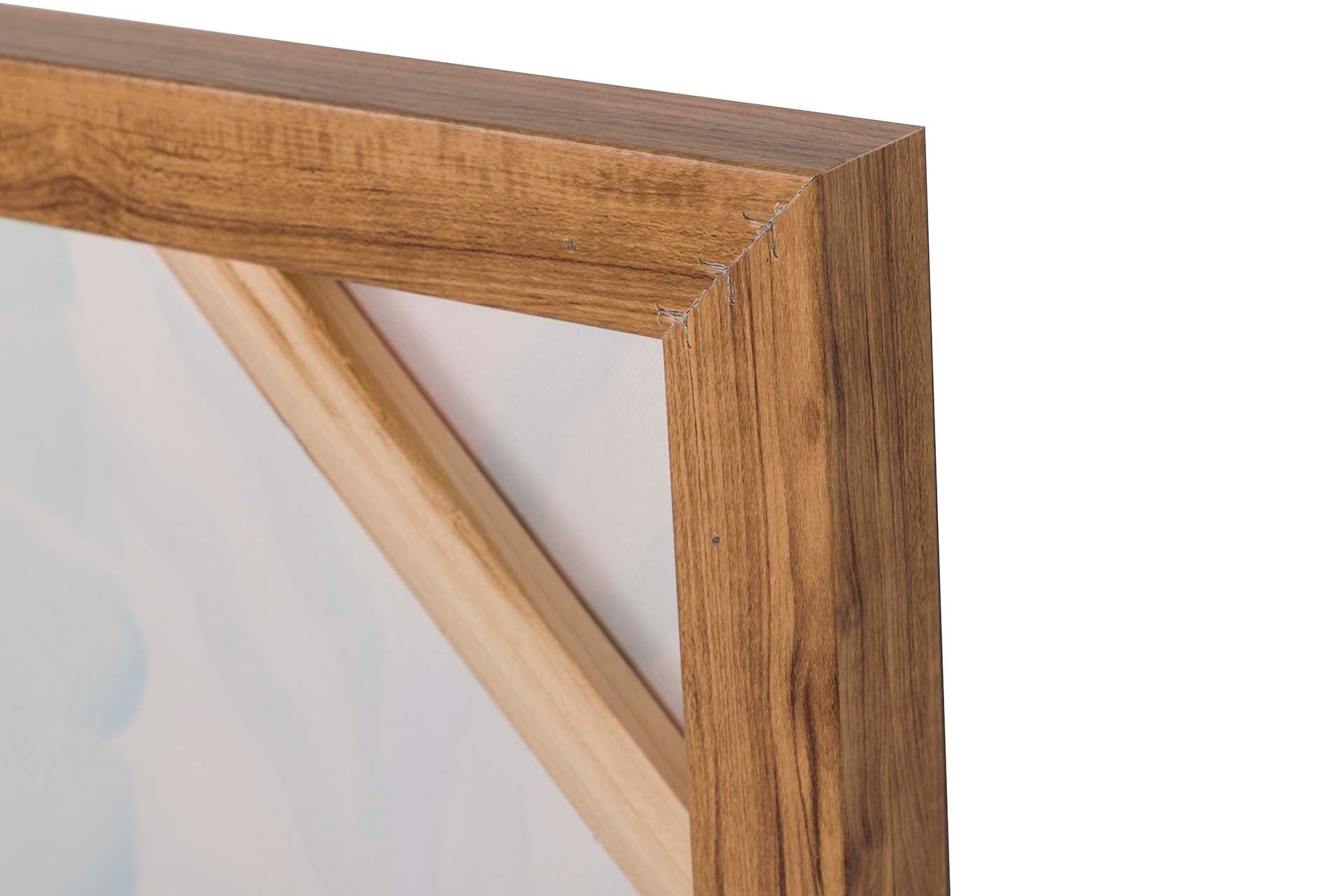 SET OF 2 ANIMAL PAINTINGS WITH GOLD FRAME 60x4x80 CM