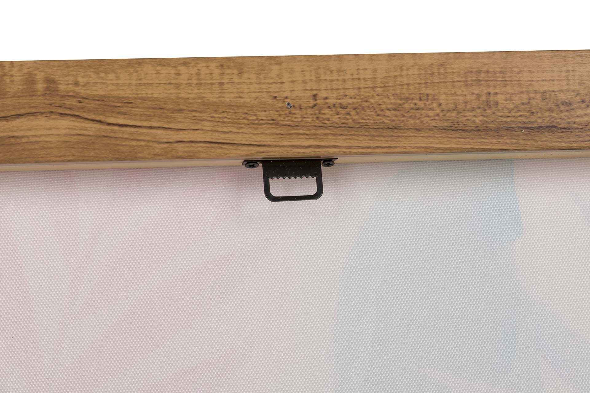 SET OF 2 ANIMAL PAINTINGS WITH GOLD FRAME 60x4x80 CM