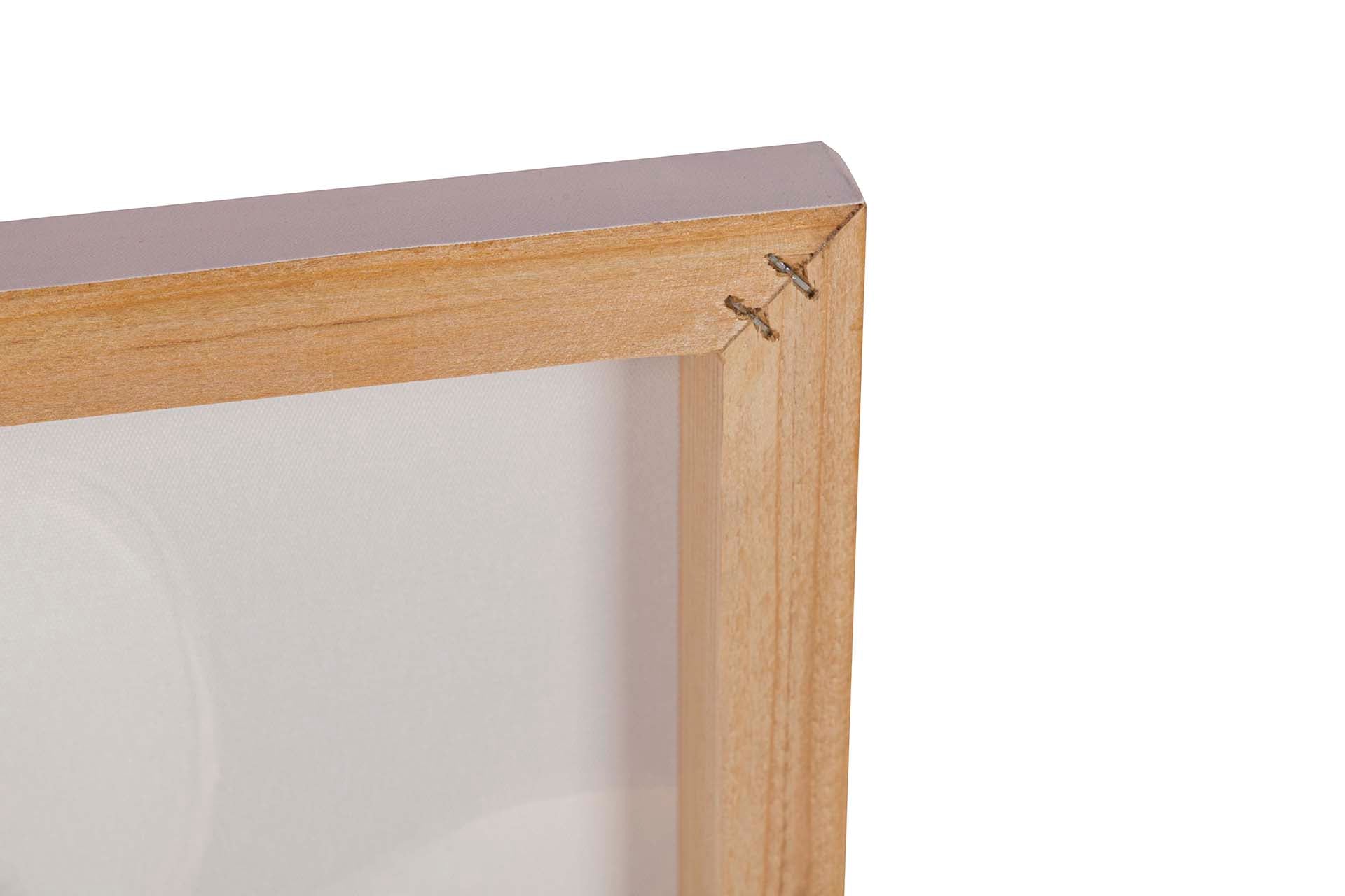 SET OF 2 FLOWER CANVASES 40% HAND PAINTED 60x3x60 CM