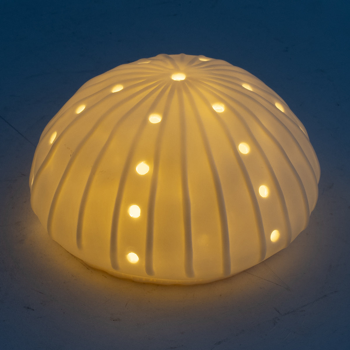 Led Anemona