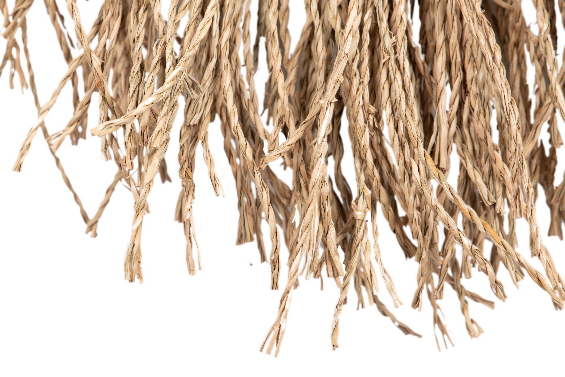 SEAWEED WALL DECORATION 36x1x71 CM