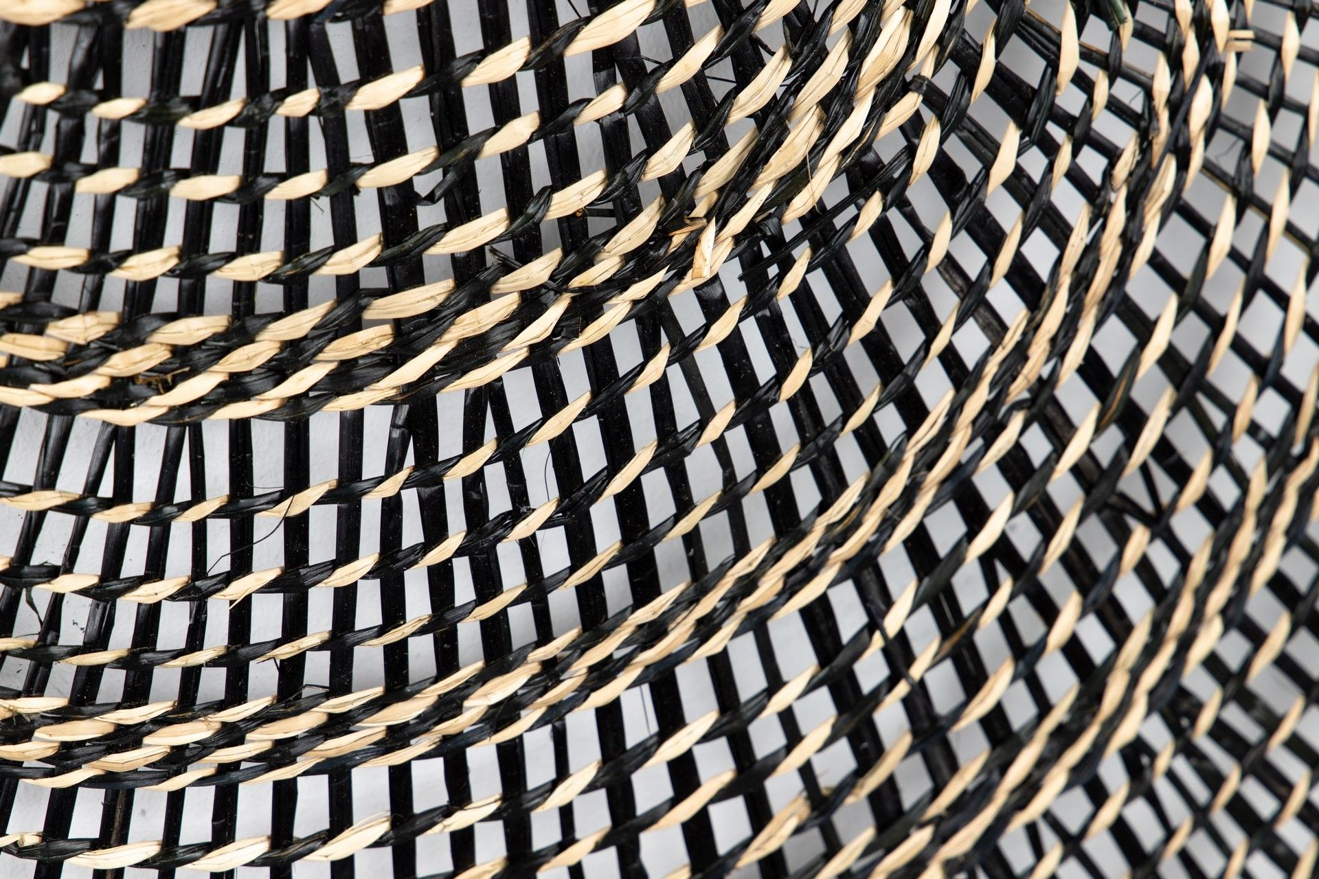 ADORNO PARED ABANICO ALGAS 60x60 CM