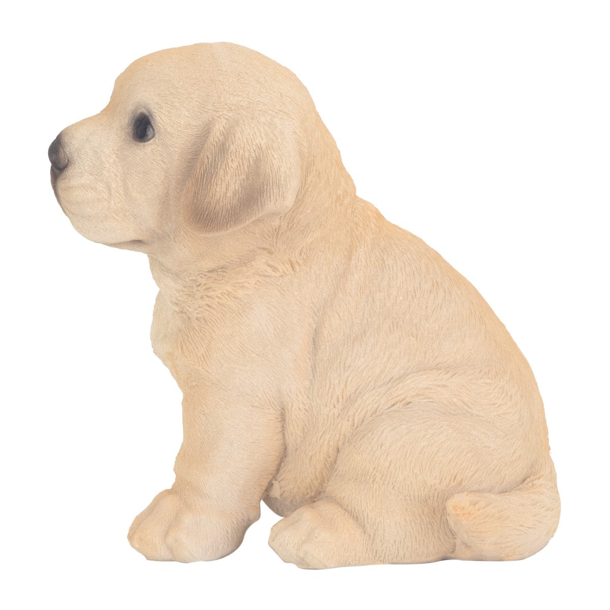 Perro