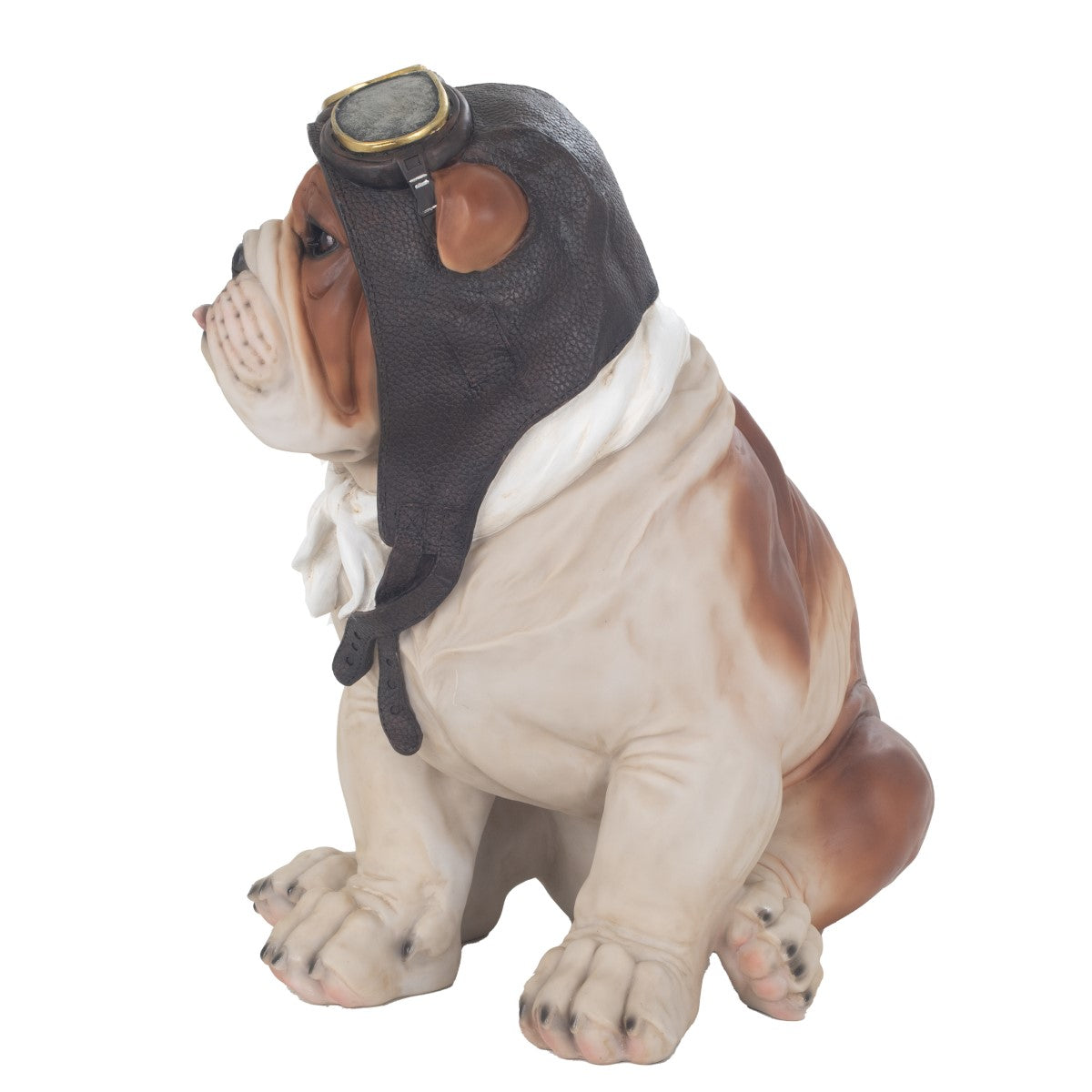 Bulldog dog