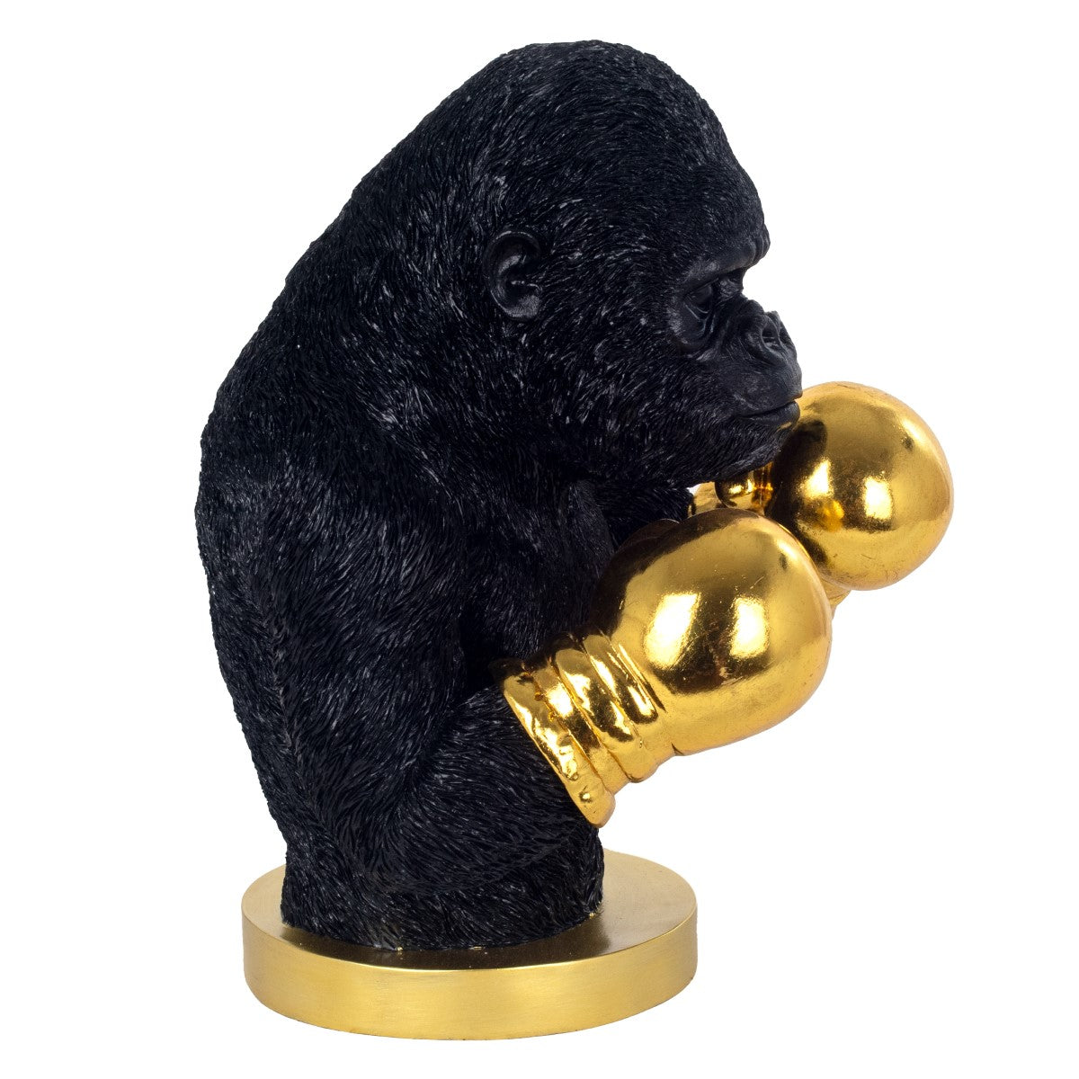 Orangutan