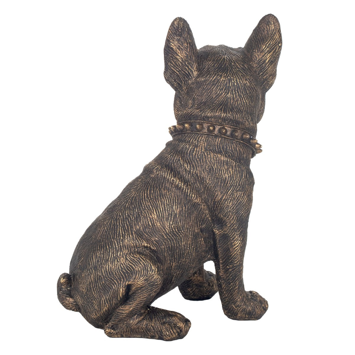 Perro