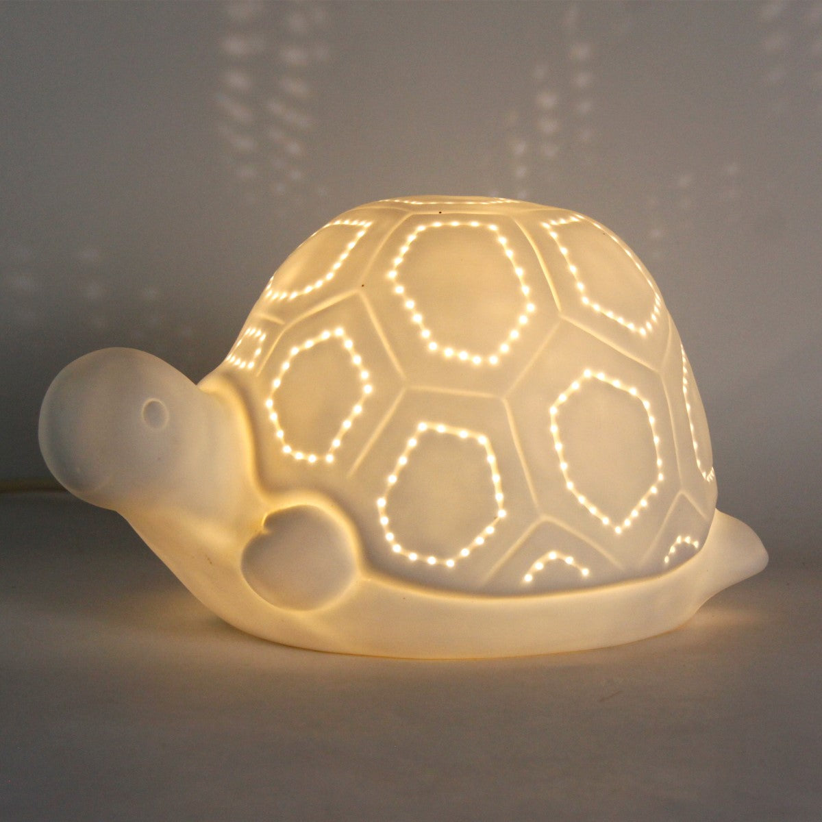 Lamp Tortuga