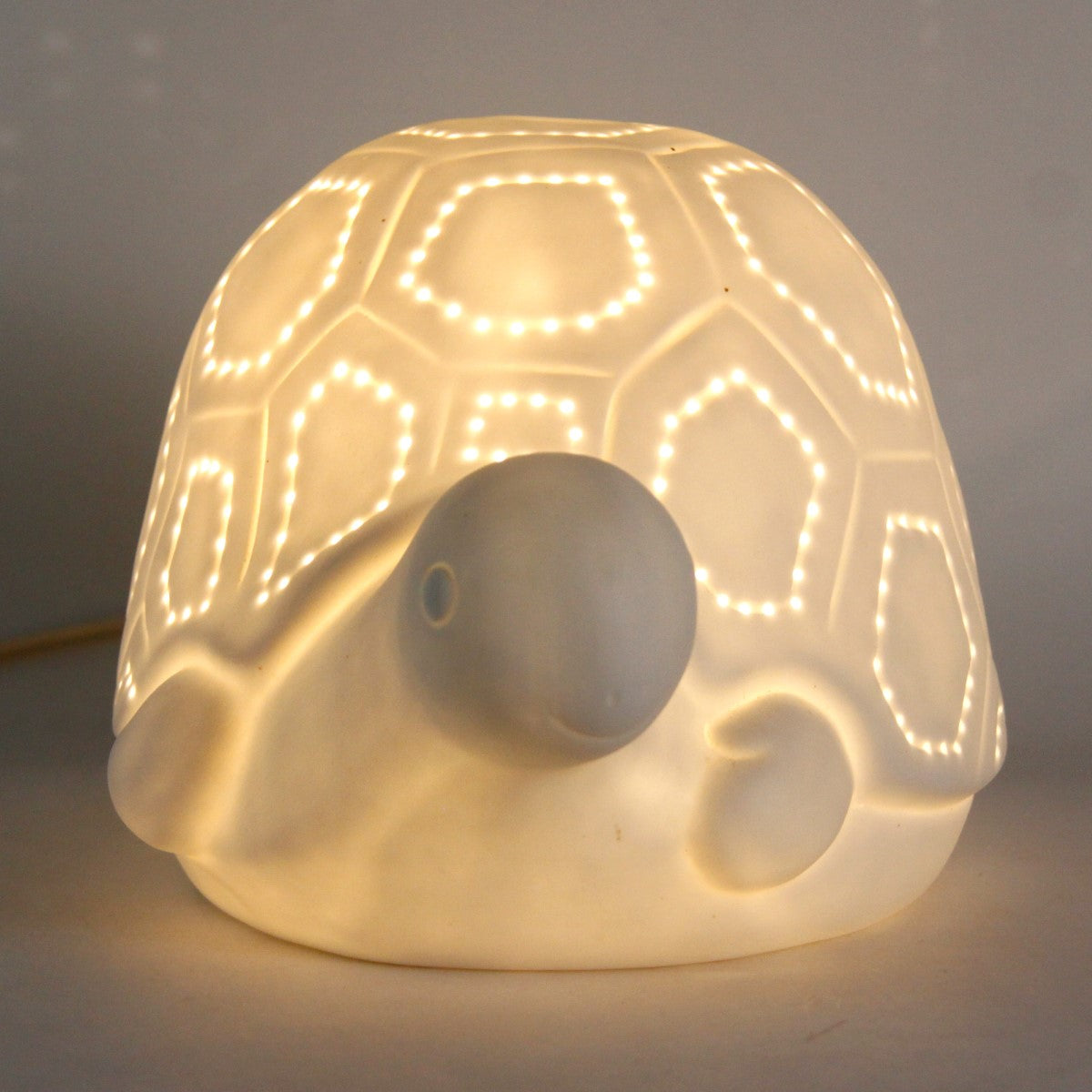 Lamp Tortuga