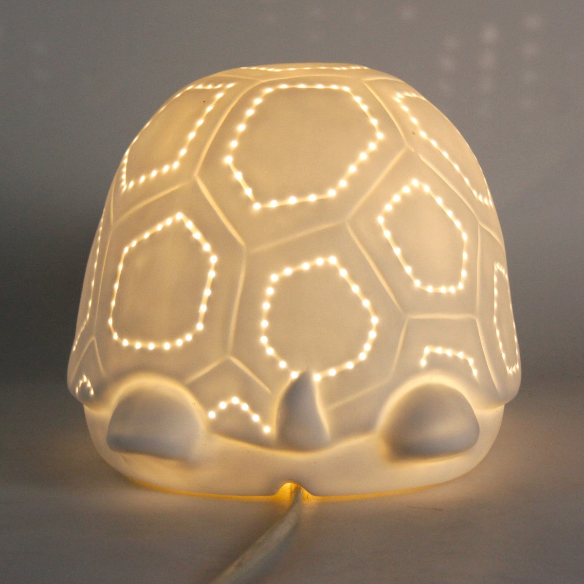 Lamp Tortuga