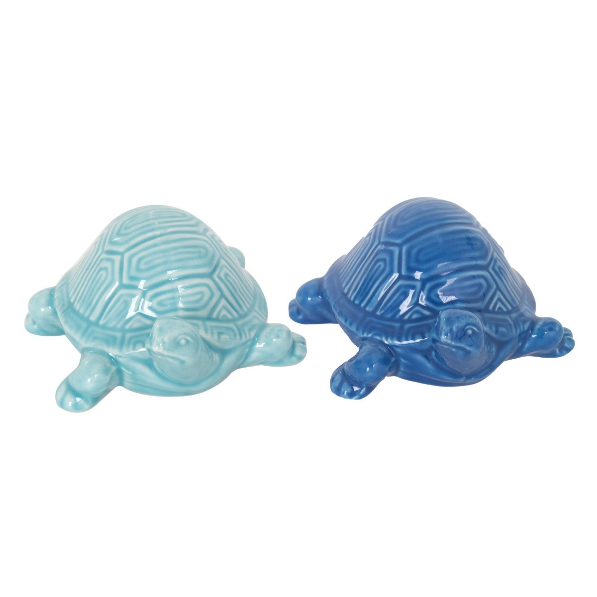 Turtle 2 Diff.