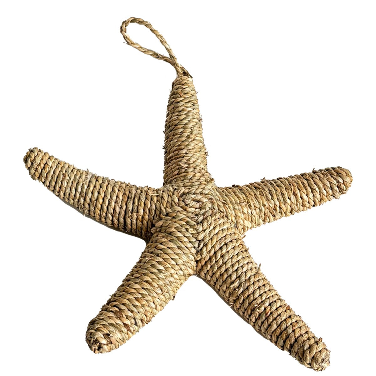 Starfish Pendant