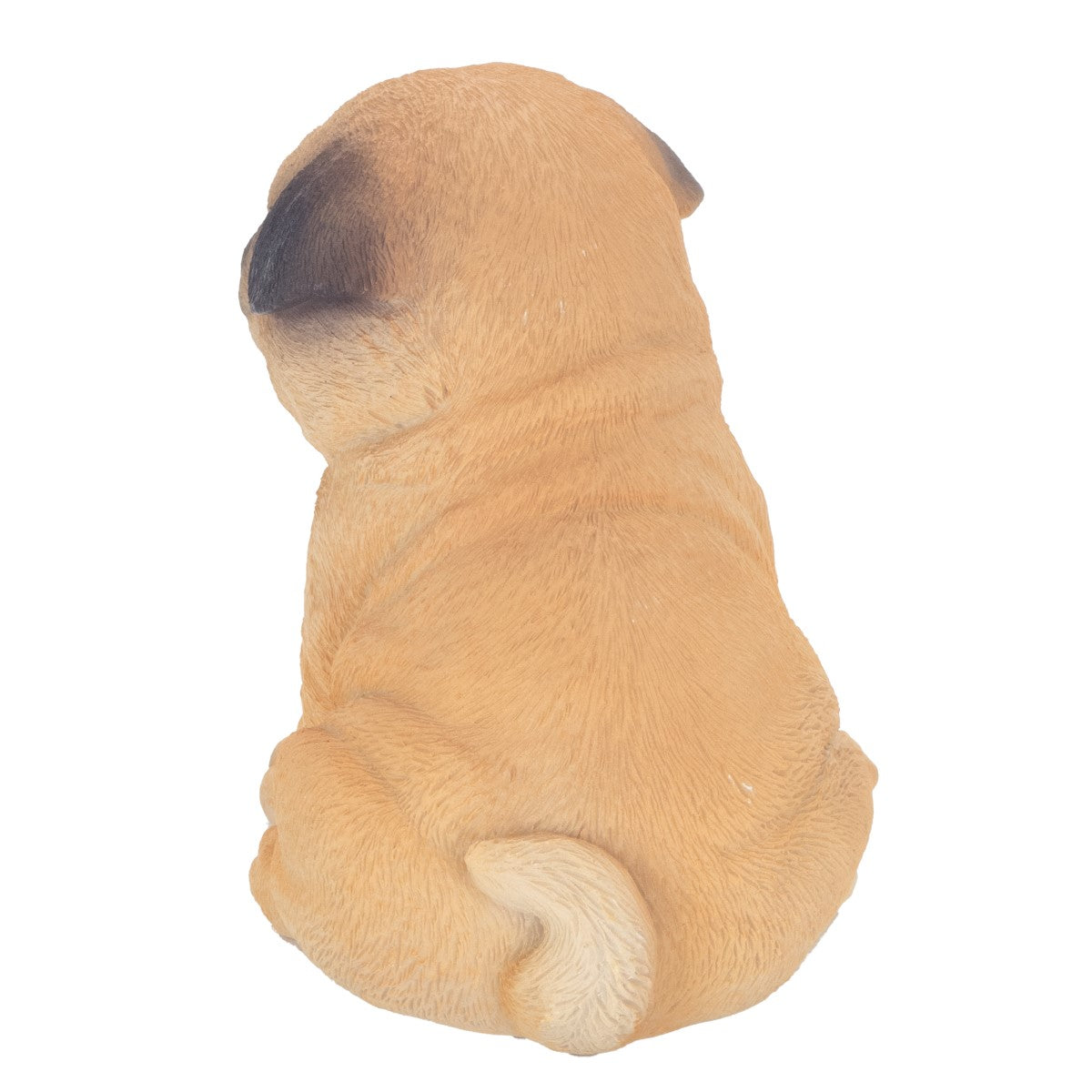 Perro