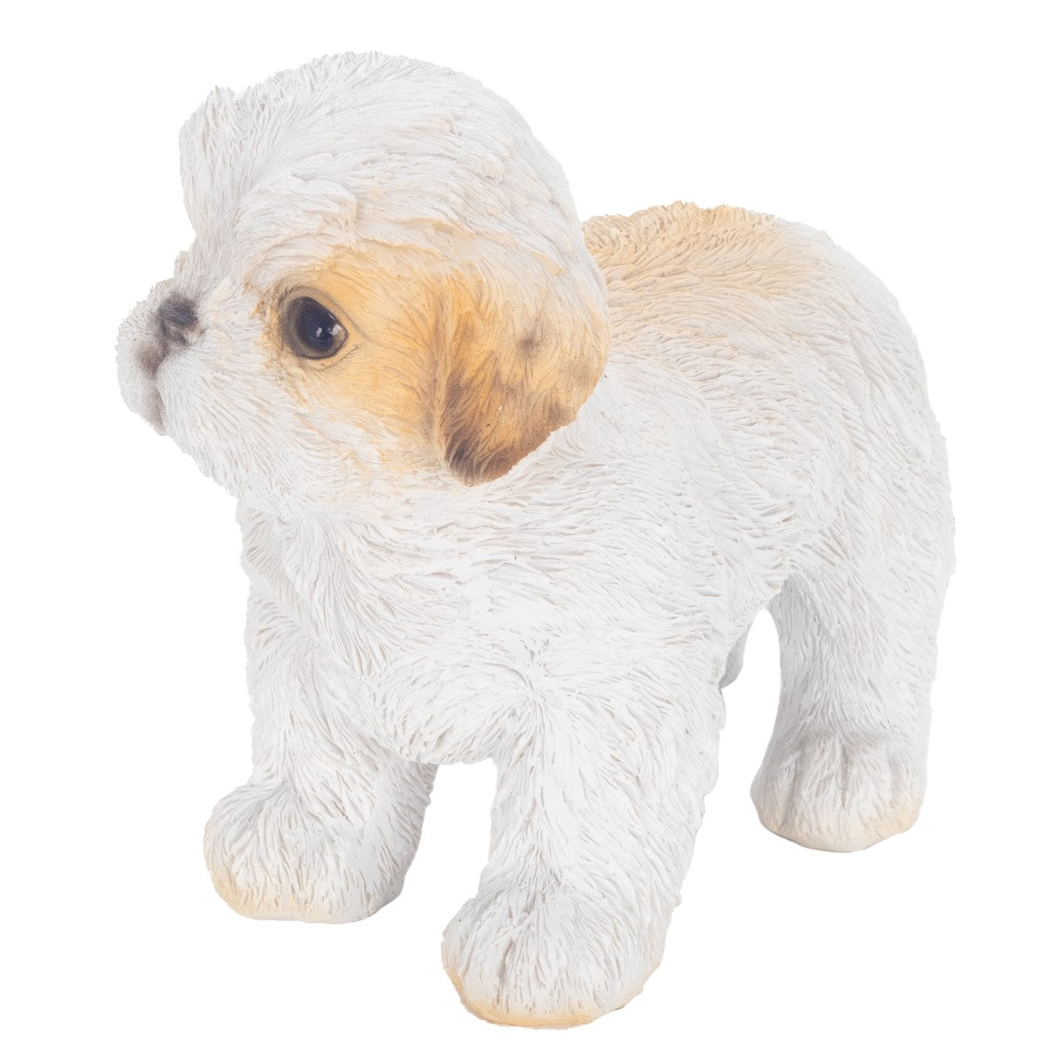 Perro