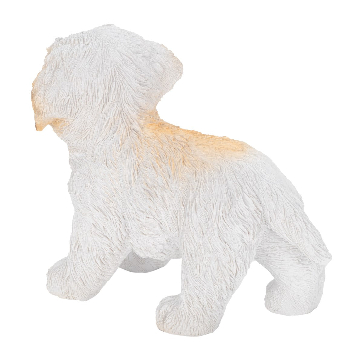 Cachorro