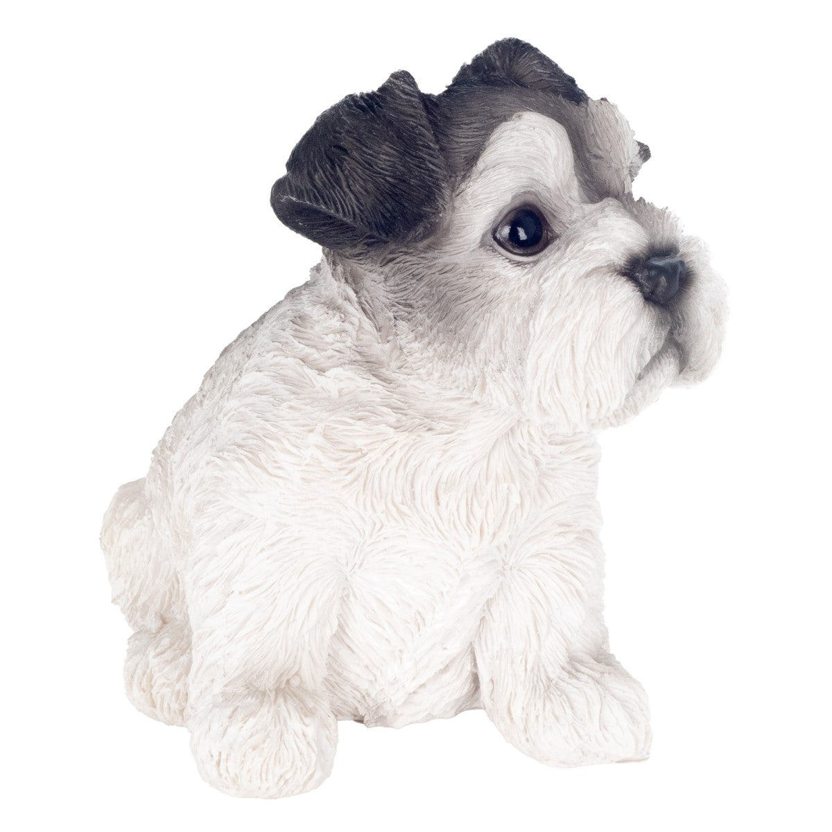 Perro