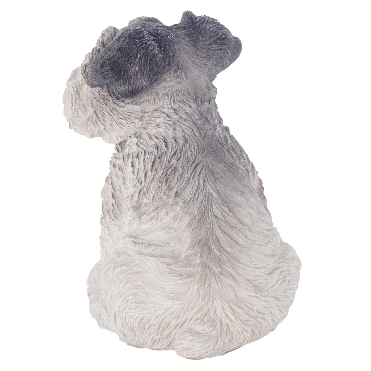 Perro